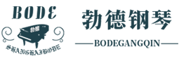 上海勃德鋼琴有限公司